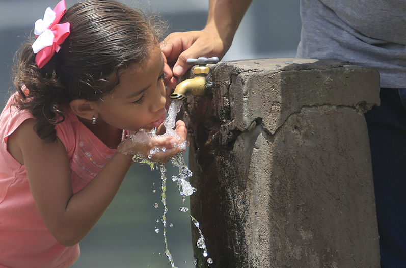 Asadas tomando agua